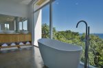 Free standing tub with a view
